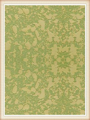 中國創(chuàng)新性彩色裝飾砂漿（浮雕型）