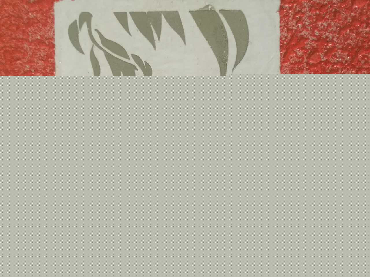 中國(guó)創(chuàng)新型彩色裝飾砂漿（創(chuàng)新型）